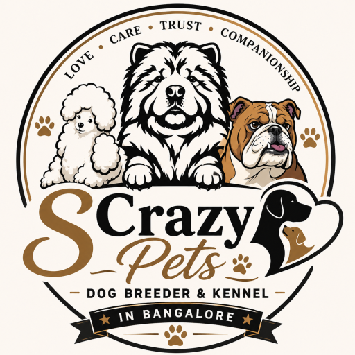 cropped-cropped-logo.png